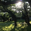 すごい雨での始まり