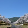 甲賀土山町うぐい川その２