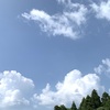 高齢の母の時間の感覚・夢か現か