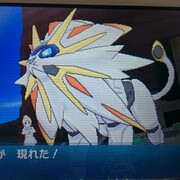 Usum発売前にポケモンサンプレイ日記 ソルガレオ捕獲編 何が好きかを語るブログ