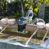 カメラを持って散歩
