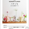 日比谷花壇の月額定額「ハナノヒ」で毎日一本の花をゲット