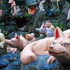 【日記】2015年1月17日(土)「運動」