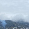 めぐみの雨