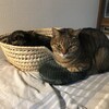 仲が良すぎてもダメ、いがみ合うのもダメ