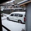 朝雪が降った