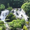 名水プラザ(道の駅名水の郷きょうごく)ふきだし公園レビュー！おすすめソフトクリームとお土産コーナー詳細