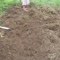 庭で家庭菜園やってみた 草刈 土を耕す 田舎に暮らすぞ計画 庭で家庭菜園やってみた 草刈 土を耕す 田舎に暮らすぞ計画