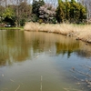 しょうちゃん池（東京都東村山）