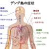 気候の変化でデング熱はヨーロッパへ