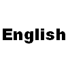 英語の勉強を始めてから約半年