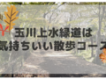 玉川上水緑道は気持ちいい散歩コース！