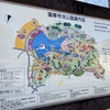 藤枝蓮華寺池公園