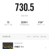 毎日10kmランニング記録(1月)