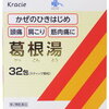 【風邪のひきはじめに】風邪、頭痛、肩こりなどを緩和⁉葛根湯を薬剤師が解説します