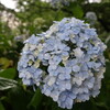 久しぶりの雨だった