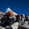 エベレストトレッキング8日目A ロブチェ4930ｍ→ゴラクシェプ5150ｍ　登りは最終日！頑張るぞ