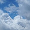 夏の医者。