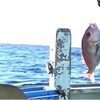専業漁師と遊び釣りの差が分かれば大漁間違いなし