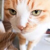 毎度お休みの日おなじみのウダウダぐずぐず