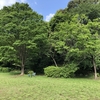 公園でピクニック