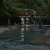 雨の日の奈良の楽しみ方 vol.1