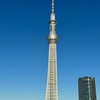 11月19日 世界トイレの日～大切な空間