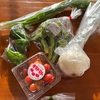 ＃室戸市のふるさと納税返礼品