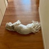 暑いから帰ろうー