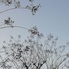 絶好調と思っていたのに落とし穴