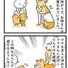 【犬漫画】元野犬の保護犬ちゃんが懐いてくれるようになりました。