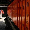 京都散歩
