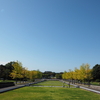 昭和記念公園コスモスまつり 2016