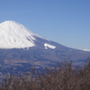 美しい富士山を拝めました。