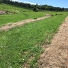 【Byronbay】3件目WWOOF8日目。今日は早めに終了。