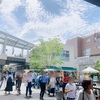 下北線路祭り★移動動物園