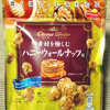 ジャパンフリトレー オトナドルチェ 素材を愉しむ ハニーウォールナッツ味