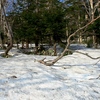 高原の残雪