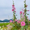 余白は自他ともに優しくなれる