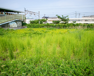 線路沿いの空き地 / 工事用ネットに囲われた空き地