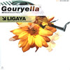 【トランス】Gouryella - Ligaya　〜トランスミュージックの宇宙観〜　- Universe of Spirituality -