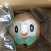 ポケモンのぬいぐるみを買ってしまった・・・！