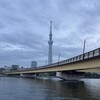 隅田川テラス15キロ：桜橋を渡ったのはいつ以来だろうか・・・久しぶりに15キロを超えて走る