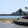 GWの香櫨園・御前浜