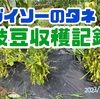 枝豆収穫記録(2023)トウモロコシとえだまめの混植栽培結果。