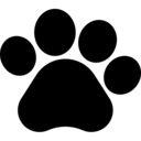 MaruBlog