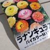 ラナンキュラスの球根も植えてみたのですが