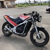 GSX-Rとコクワガタ