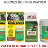 Know when to use rooting compounds