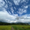 2022/08/23 火曜日　カマキリ